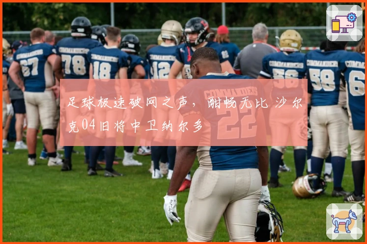 足球极速破网之声，酣畅无比 沙尔克04旧将中卫纳尔多