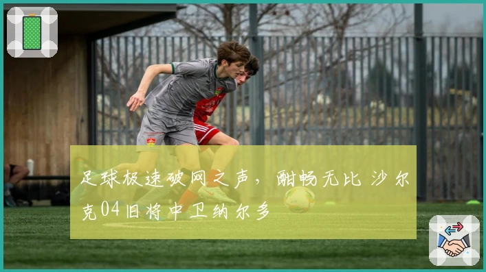 足球极速破网之声，酣畅无比 沙尔克04旧将中卫纳尔多