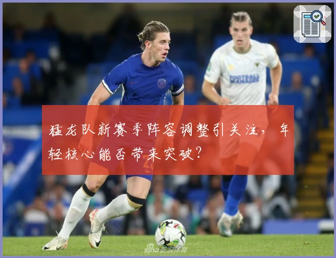 猛龙队新赛季阵容调整引关注，年轻核心能否带来突破？