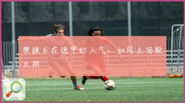 樊振东在德甲的人气，如同主场般火热