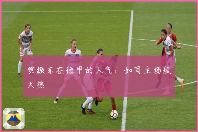 樊振东在德甲的人气，如同主场般火热